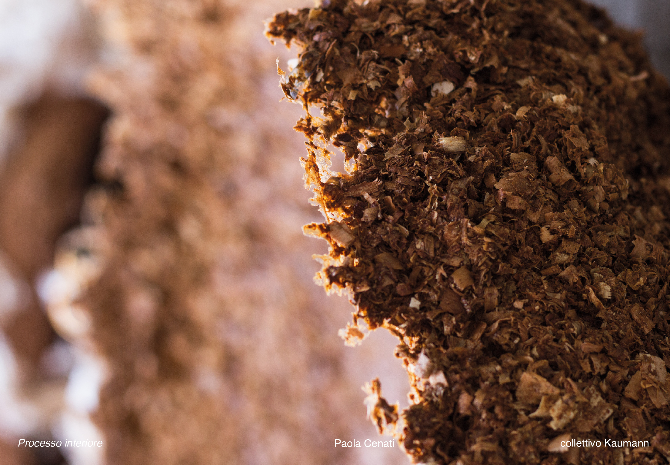 Foto collettivo Kaumann Paola